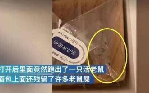 吐司里跑出活老鼠