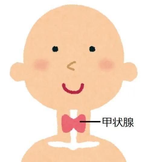 什么是激素(什么是激素肥料)图2