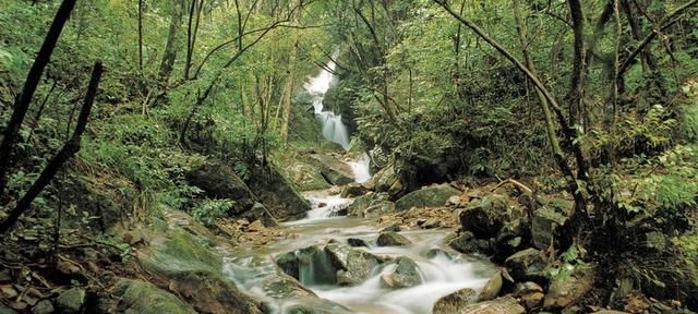 千岛湖好玩吗,千岛湖好玩吗值得去吗图5