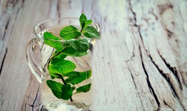 一片薄荷6种功效，真后悔现在才知道