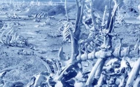 星际怪兽都是有哪些