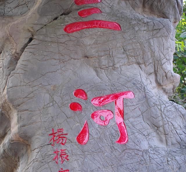 有真正的蓝莲花吗(真正的蓝莲花图片)图4