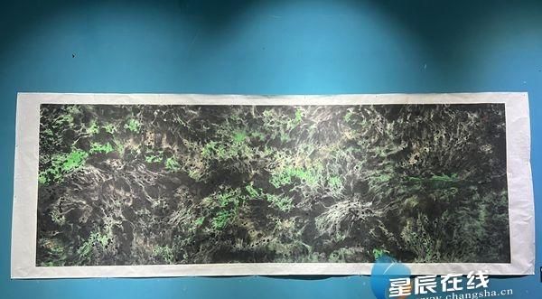 “水”的功效、“墨”的意境 源起——肖志坚新意象作品展在湖南国画馆开幕