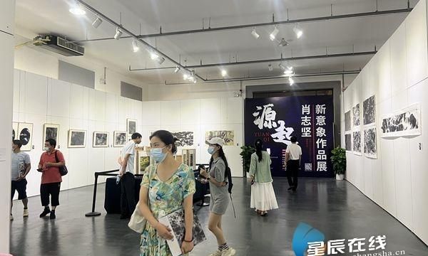 “水”的功效、“墨”的意境 源起——肖志坚新意象作品展在湖南国画馆开幕