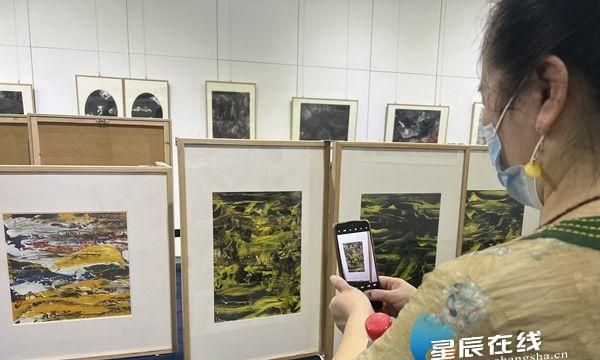 “水”的功效、“墨”的意境 源起——肖志坚新意象作品展在湖南国画馆开幕