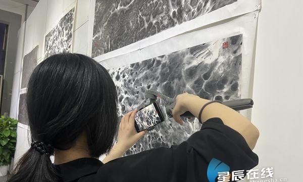 “水”的功效、“墨”的意境 源起——肖志坚新意象作品展在湖南国画馆开幕