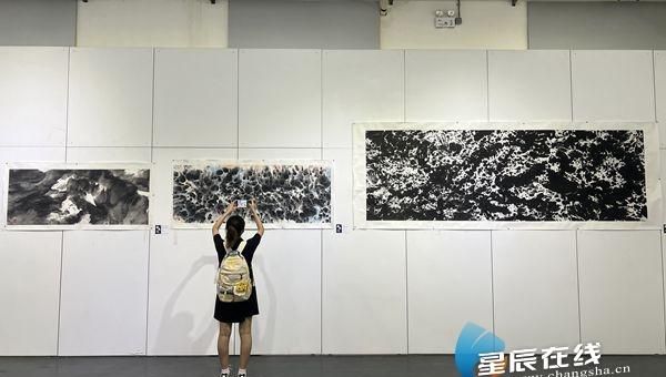 “水”的功效、“墨”的意境 源起——肖志坚新意象作品展在湖南国画馆开幕