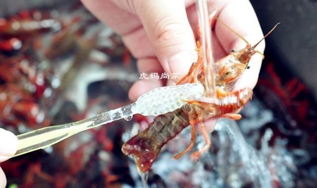 小龙虾家庭简易版做法,你了解哪些知识图3