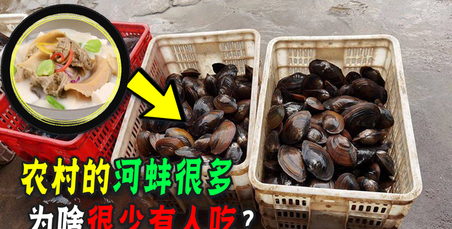 啥都吃的中国人，为啥对肉多的河蚌难下嘴？它是有虫还是有毒？