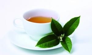 茶叶对人体有保健功效常喝九种茶防病有奇效