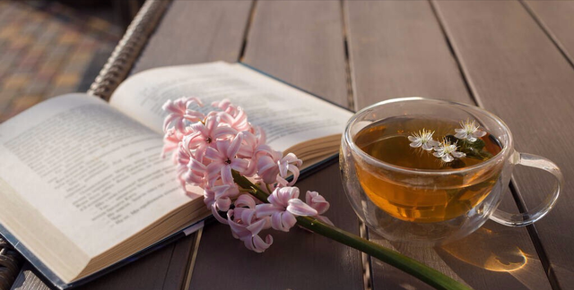 春天宜饮茶，什么茶适合春天喝？不妨试试这3款，降春躁、解春困