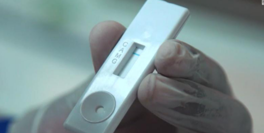 非洲研究所拟推出“验孕棒式”新冠检测工具：几分钟出结果，仅需1美元