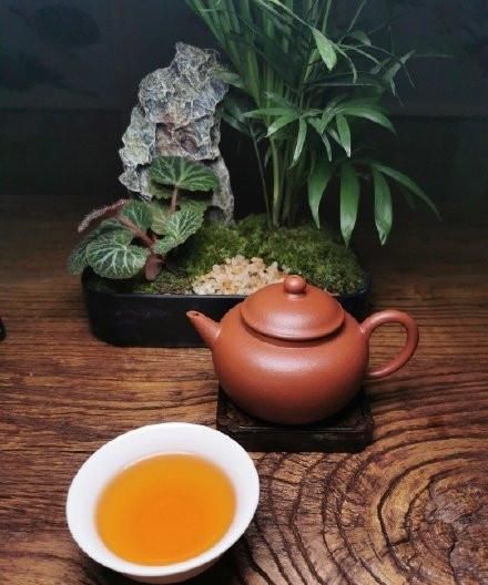 如何泡好一杯武夷岩茶图6