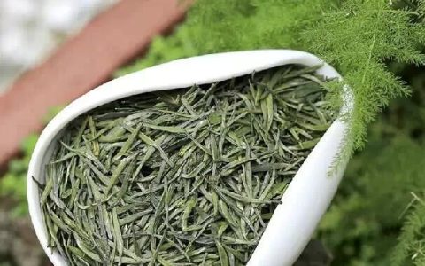 四川竹叶青茶的功效与作用