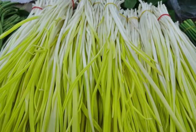 大好春光，这些春芽菜莫要错过