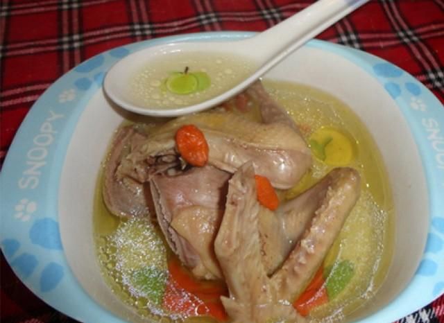 大补鸽子汤的19种做法，营养丰富，味道鲜美
