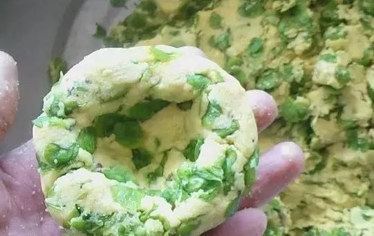 东北人爱吃的榆树钱,东北用榆树钱做的食物图12