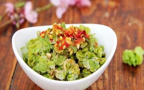东北人爱吃的榆树钱,东北用榆树钱做的食物图15