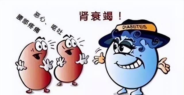 2种治疗肾衰竭和肺纤维化的中成药，两者有什么区别？
