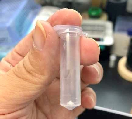 人造淀粉问世，1立方米产量堪比5亩玉米地，这究竟意味着什么？