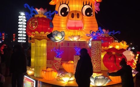 没有馅的汤圆你喜欢吃吗(这么大的汤圆你吃过么)