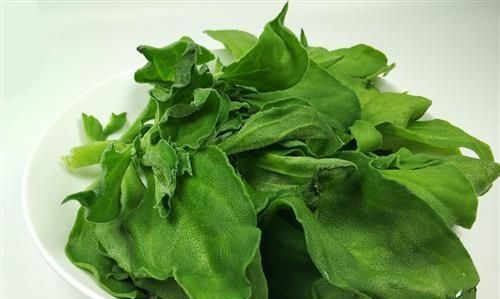 市场上有一种叫冰菜的菜,怎么做好吃呢图3