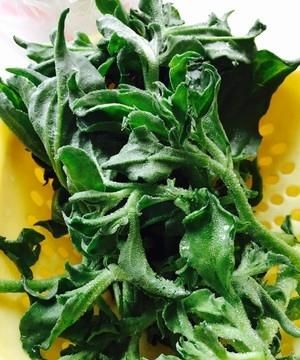 市场上有一种叫冰菜的菜,怎么做好吃呢图4