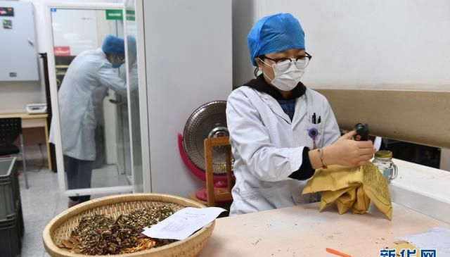探秘“国方”清肺排毒汤熬制全过程