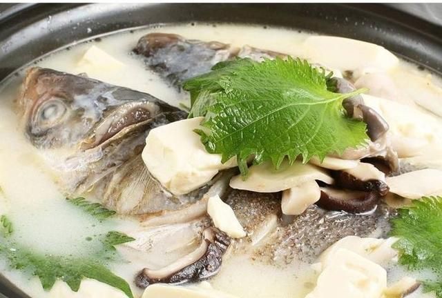 鱼头豆腐汤怎么做(鱼头豆腐汤的热量)图1