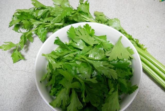 新鲜芹菜叶有哪些吃法(芹菜叶汤减肥正确吃法)图9