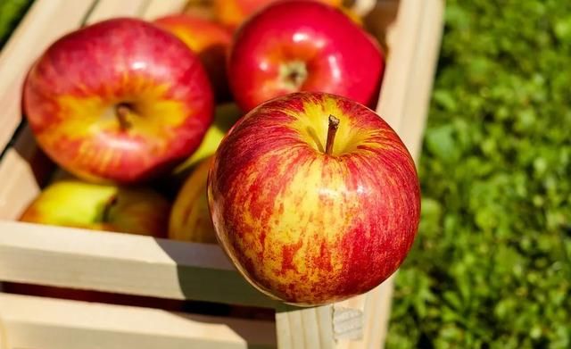 苹果煮熟吃，排毒又开胃！每天吃一个，营养更健康