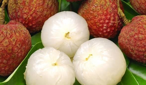 广西有哪些美食(广西美食家常菜)图33