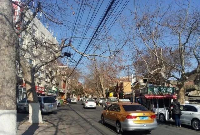龙口路和龙口路上的邻居（下篇）