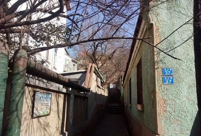 龙口路和龙口路上的邻居（下篇）