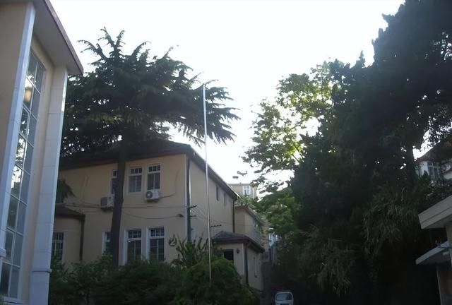 龙口路和龙口路上的邻居（下篇）