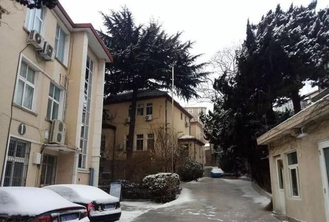 龙口路和龙口路上的邻居（下篇）