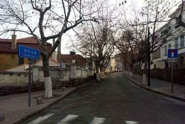 龙口路和龙口路上的邻居（下篇）