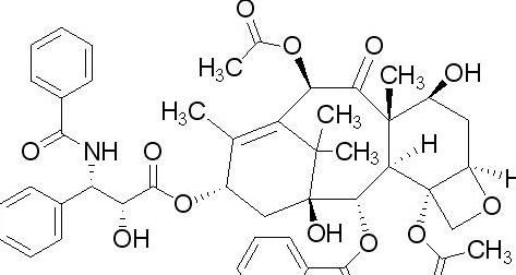 紫杉醇是什么(紫杉醇是什么化合物)图1