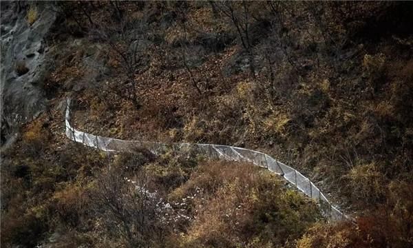 长白山林蛙油制作过程(长白山林蛙油适合什么人吃)图11
