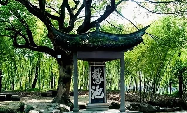 青鹅到底什么意思,裴炎与青鹅的关系图3
