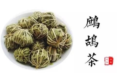 海南五指山哪种茶最好喝