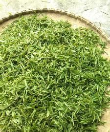 野生茶叶的功效与作用