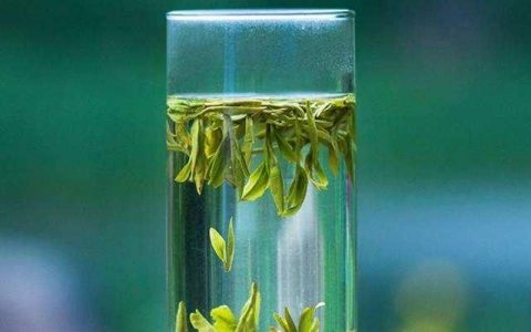 龙井茶的最佳泡法,狮峰牌龙井茶泡法