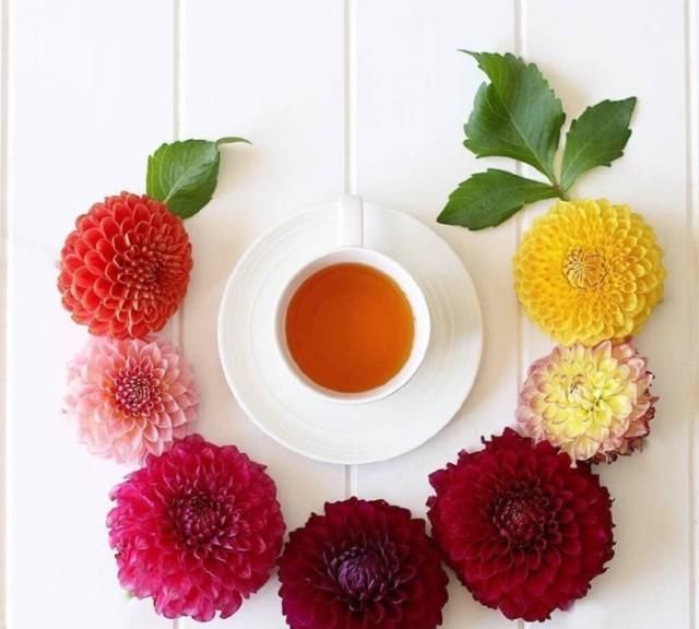 各类花茶功效大科普（上篇）