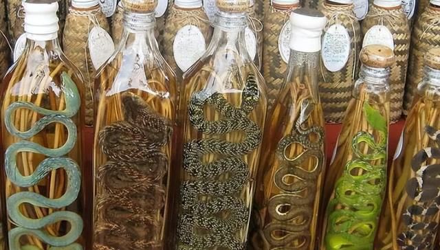 蛇酒是蛇的“洗澡水”？毒蛇泡酒一年，为何还能伤人？这酒能喝吗