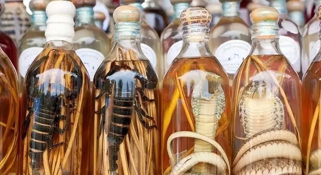 蛇酒是蛇的“洗澡水”？毒蛇泡酒一年，为何还能伤人？这酒能喝吗