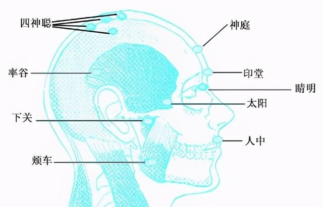 中医养生穴位按摩及功效