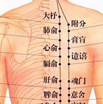 中医养生穴位按摩及功效