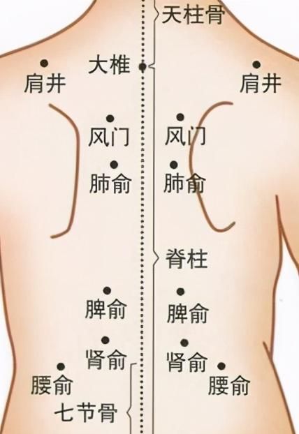 中医养生穴位按摩及功效