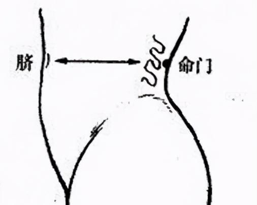 中医养生穴位按摩及功效